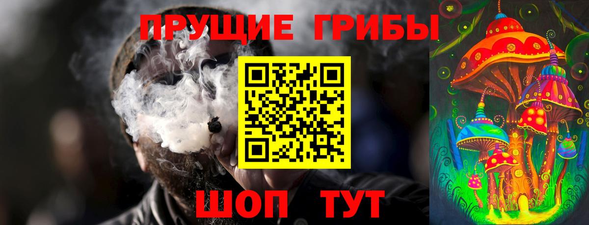 Верхняя Пышма  Псилоцибиновые грибы ЛСД  Вход с VPN 